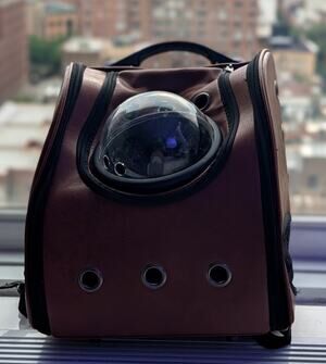Cat Carrier Backpack with Bubble Window